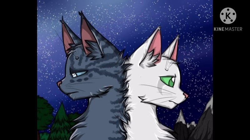 Коты Воители Огнезвёзд