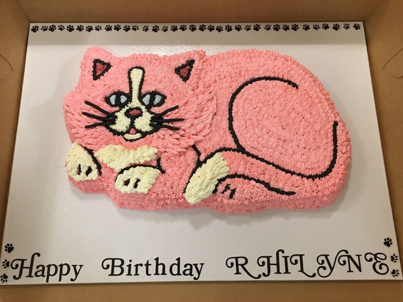 Кот на торте нарисованный