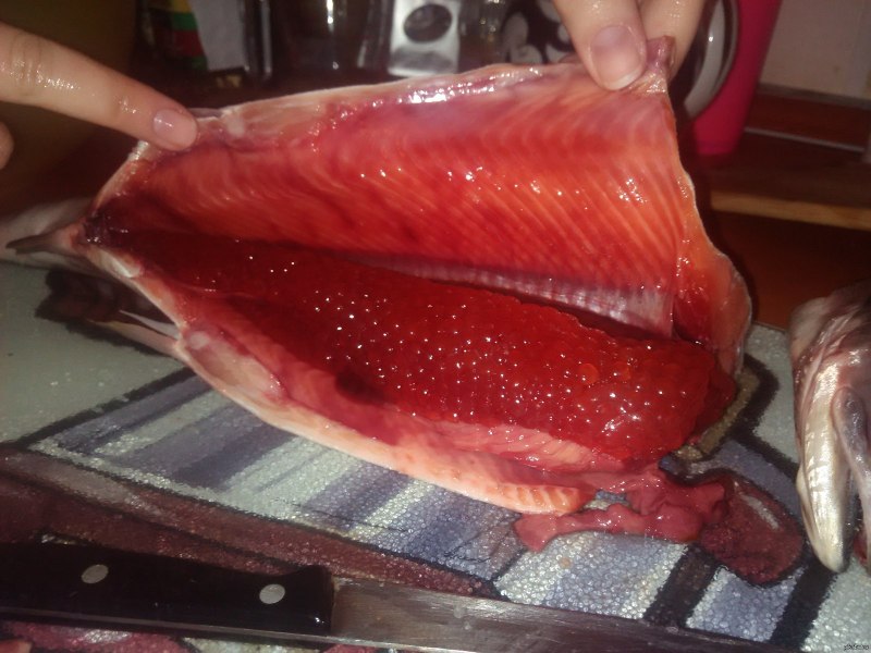 Красная рыба и икра