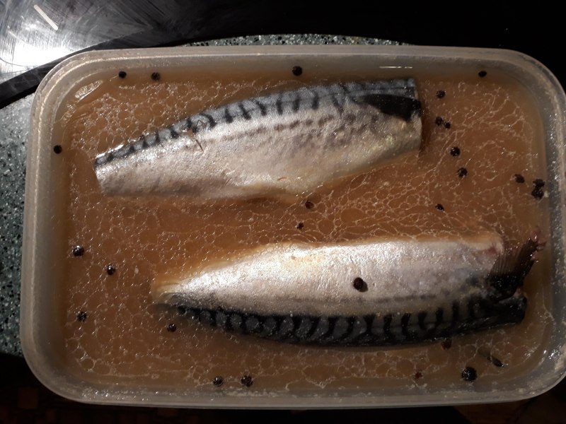 Скумбрия Дачная
