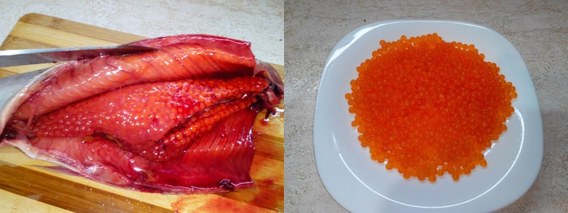 Скумбрия с икрой бывает ли
