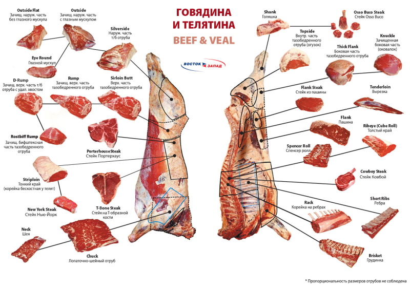 Классическая схема разруба говяжьей туши