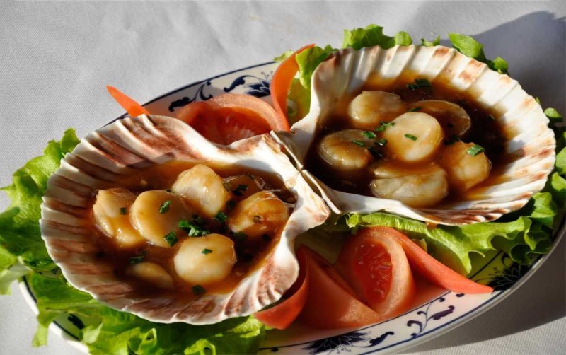 Морской гребешок